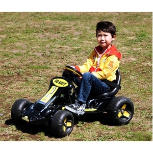 gocart.jpg