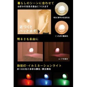 led3.jpg